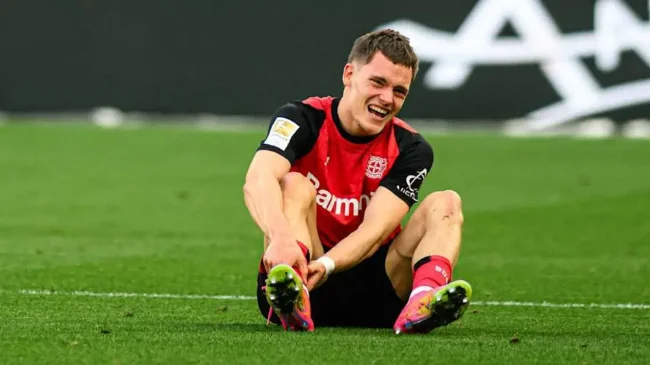 ���ֿ�ɭ�г�ά��������