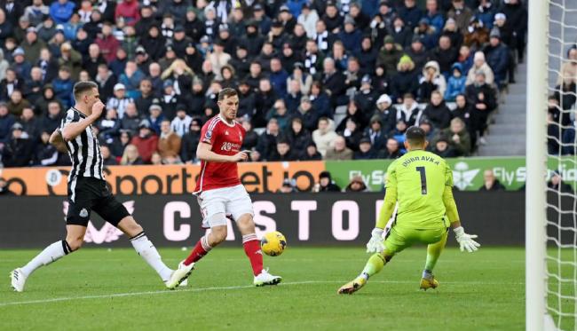 &nbsp;Ŧ��˹������1-3ŵ����ɭ��