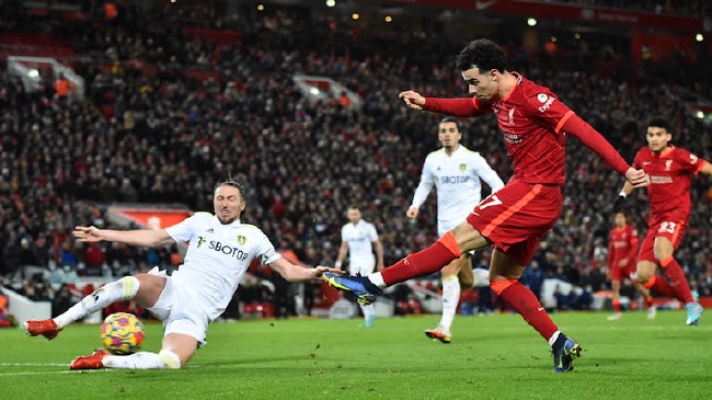 �����ֿ���������