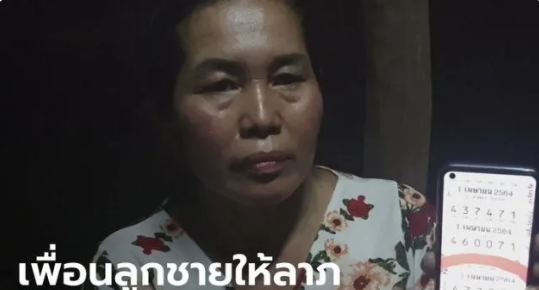 �н�����������